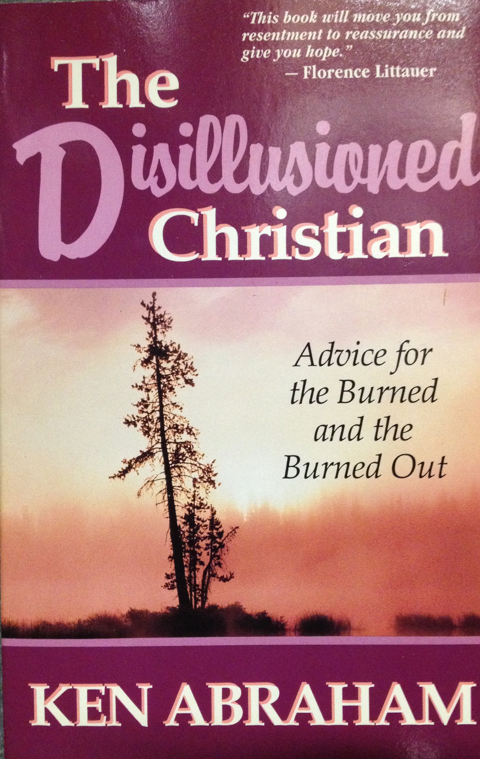 Cover of The Disillusioned Christian